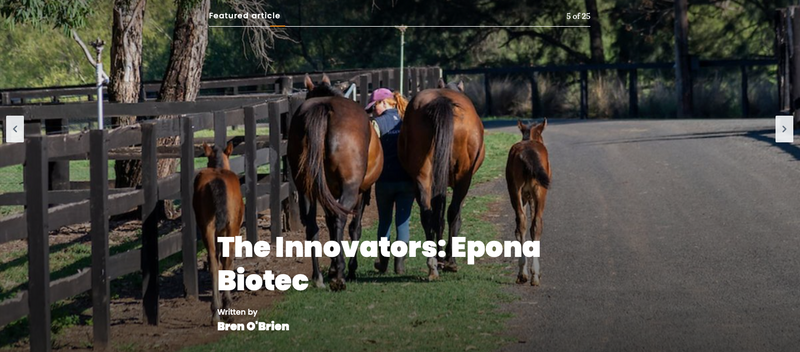 TDN Features VetTrue™: Transforming Horse Temperature Monitoring Through Innovation