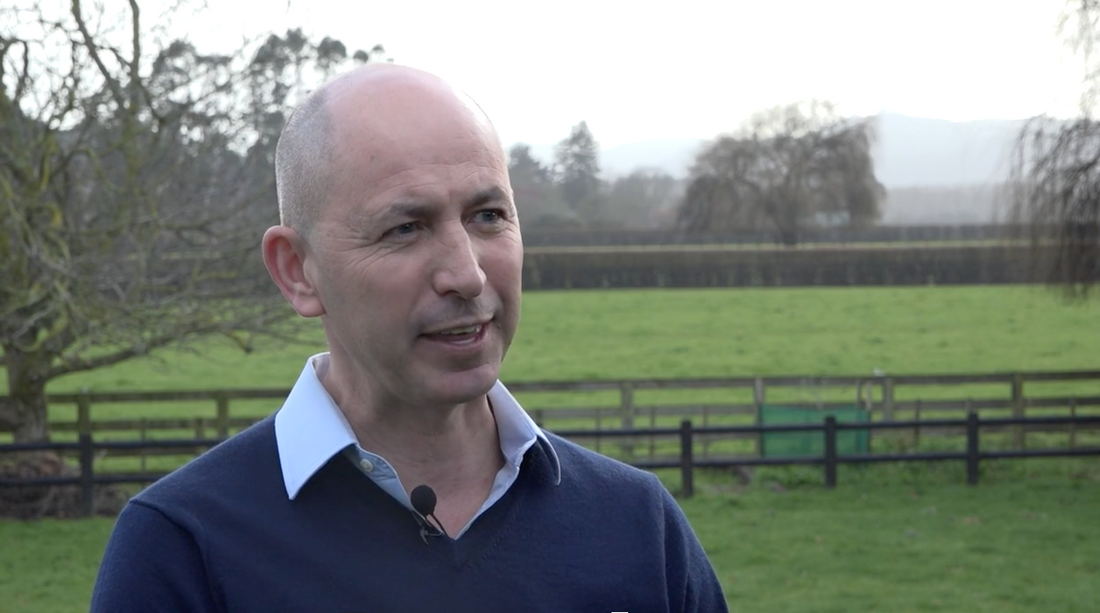 NZB – Winning Land