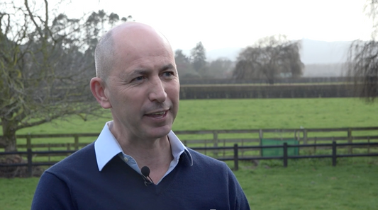 NZB – Winning Land