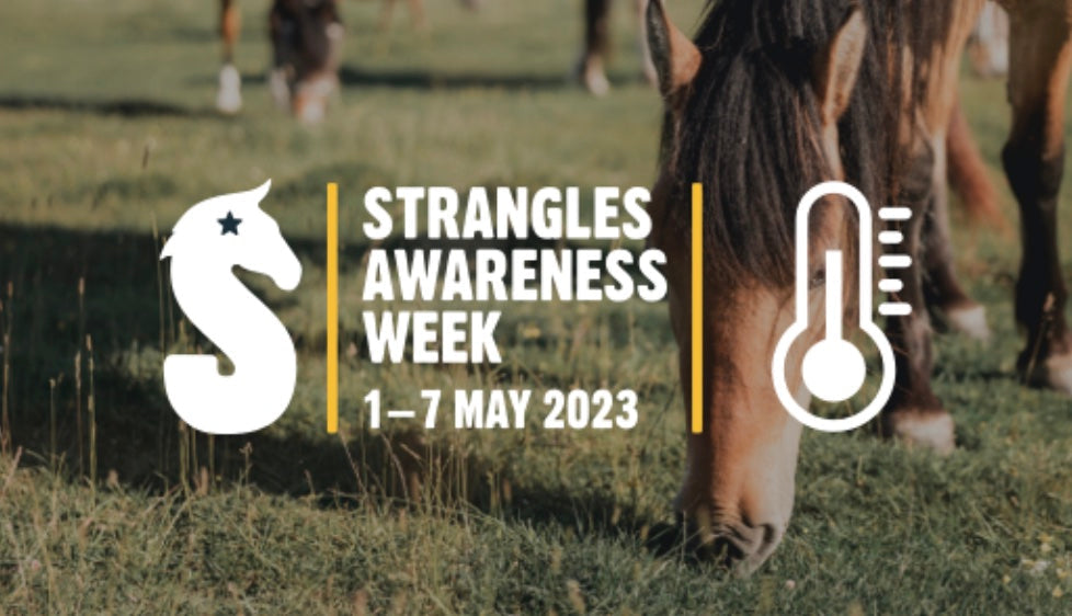 Strangles Awareness Week