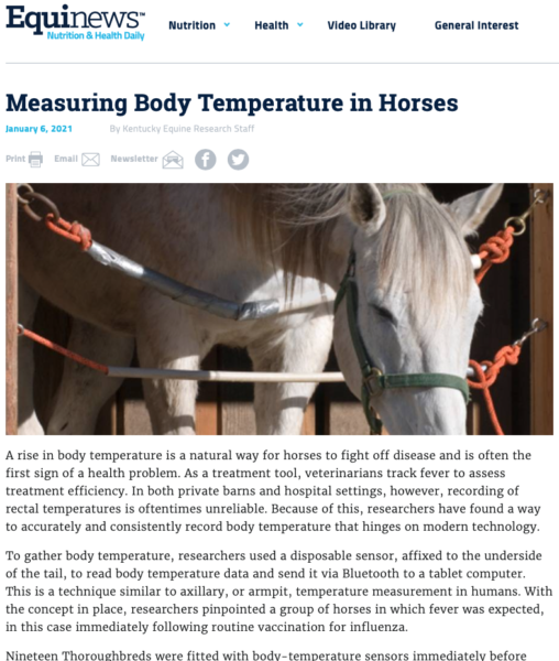 Measuring Body Temperature in Horses